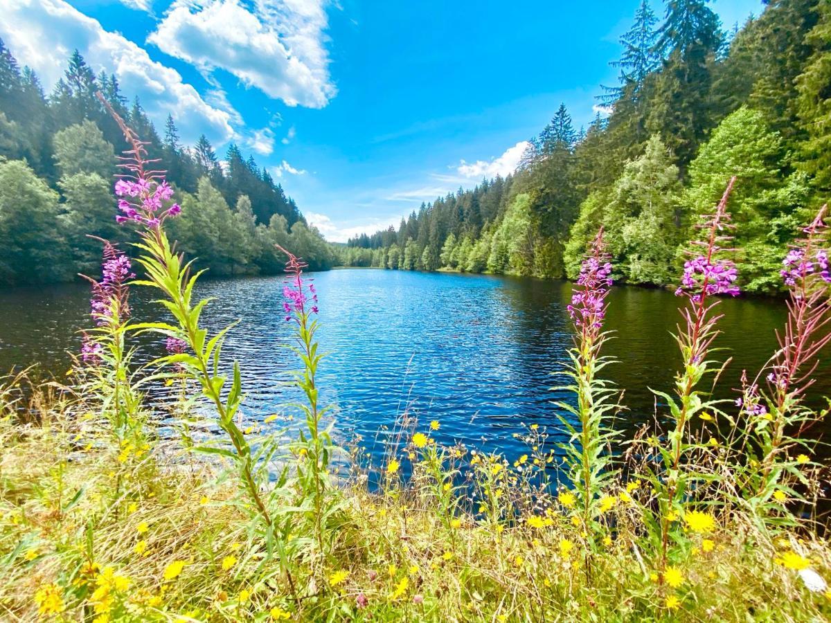 B&B Am Oker, Altenau, Harz Altenau  Eksteriør bilde