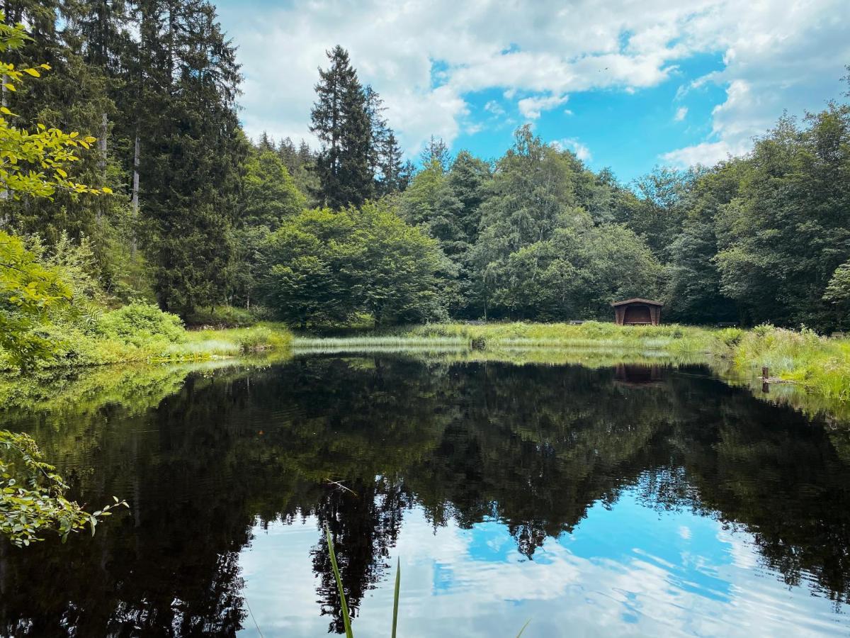 B&B Am Oker, Altenau, Harz Altenau  Eksteriør bilde