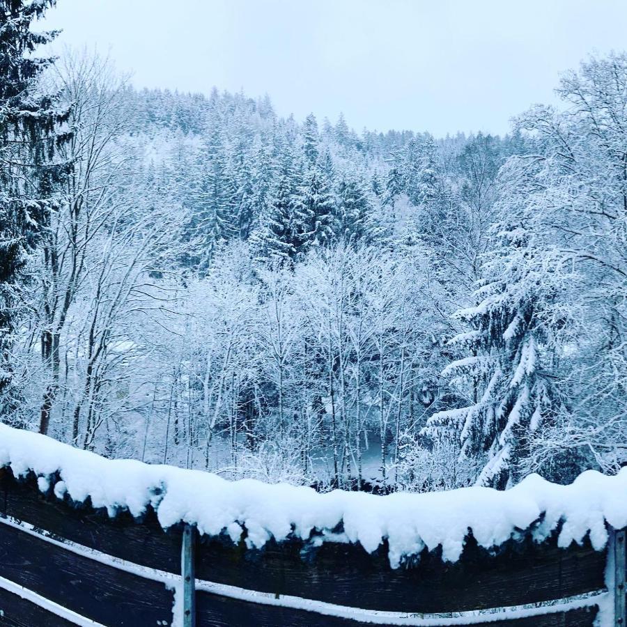 B&B Am Oker, Altenau, Harz Altenau  Eksteriør bilde