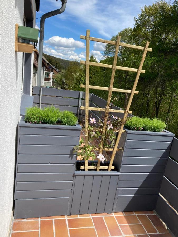 B&B Am Oker, Altenau, Harz Altenau  Eksteriør bilde